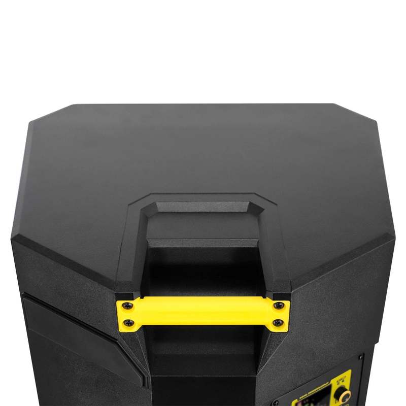 PARLANTE ACTIVO SKP DX15 - 8