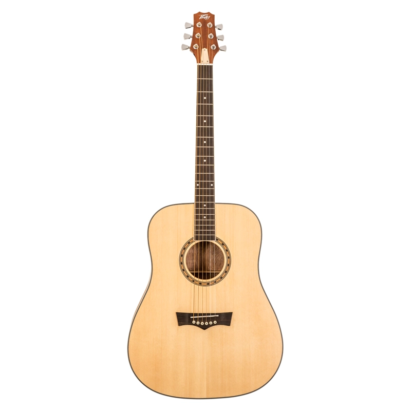 GUITARRA ACUSTICA PEAVEY DW1 - 1