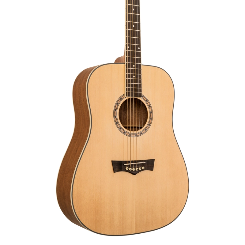 GUITARRA ACUSTICA PEAVEY DW1 - 3