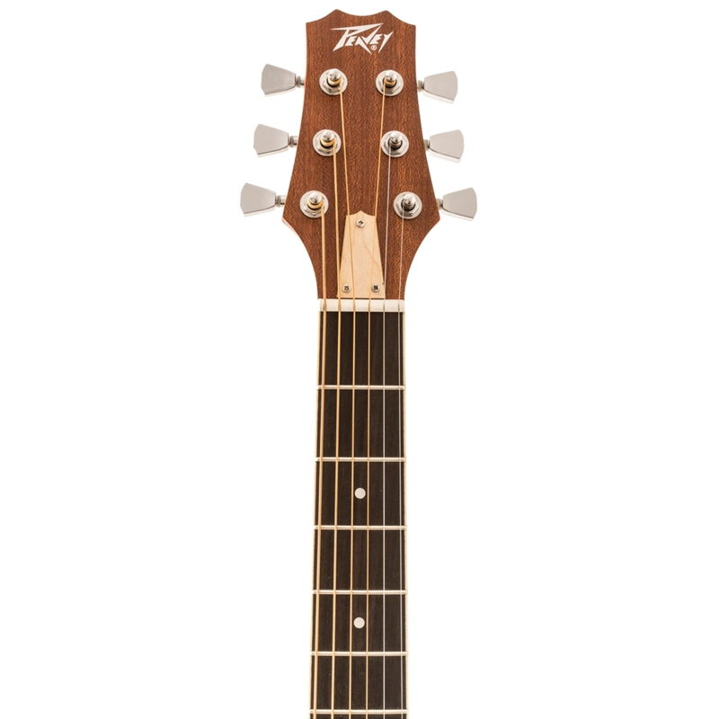 GUITARRA ACUSTICA PEAVEY DW1 - 4