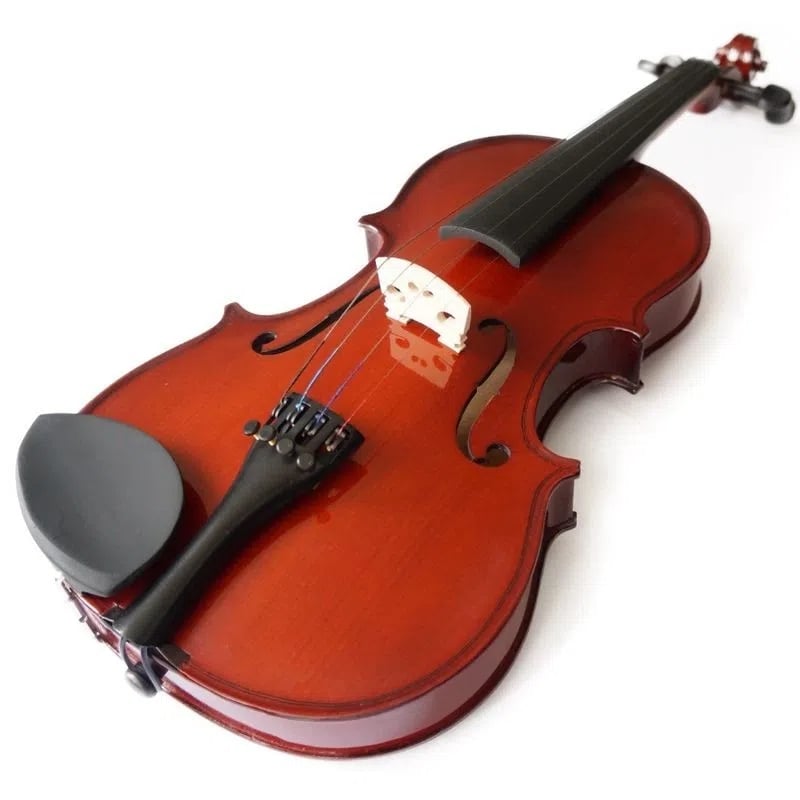 VIOLÍN 4/4 FREEMAN CLASSIC FRV50 - 1