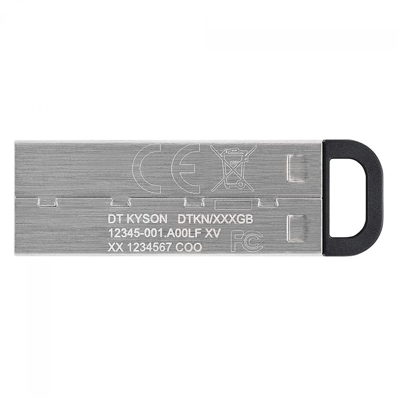 PENDRIVE KINGSTON KYSON 256 GB - 4