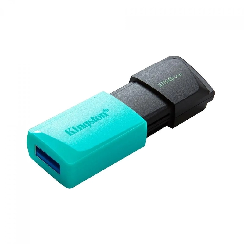 PENDRIVE KINGSTON EXODIA M 256 GB - 2