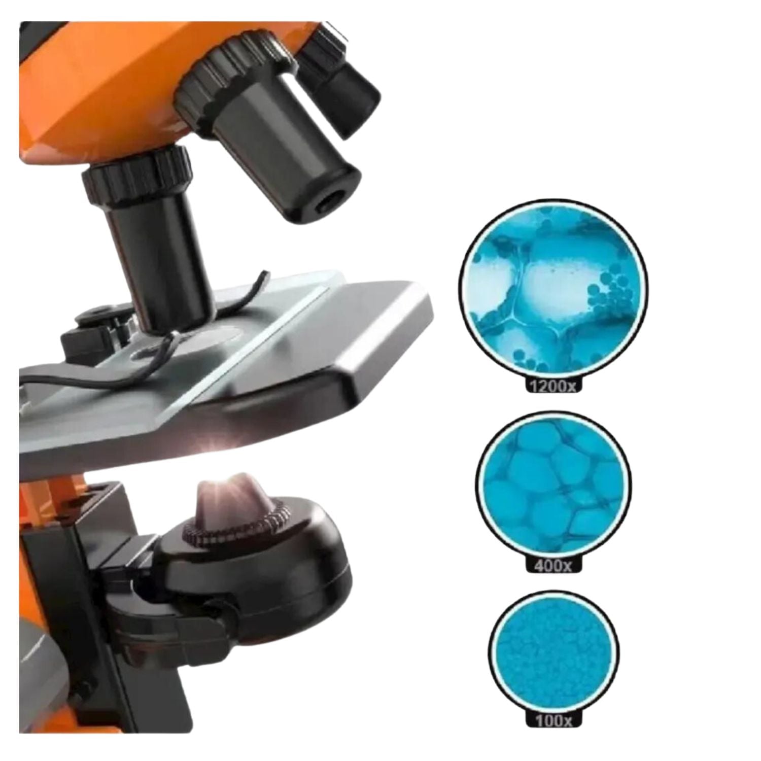 MICROSCOPIO EDUCATIVO 1200X PARA NIÑOS Y KIT ACCESORIOS MZ60 - 2