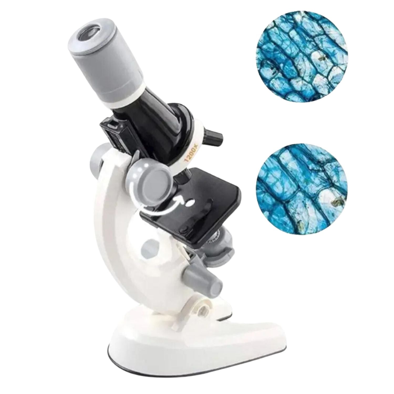 MICROSCOPIO EDUCATIVO 1200X PARA NIÑOS Y KIT ACCESORIOS MZ60 - 4