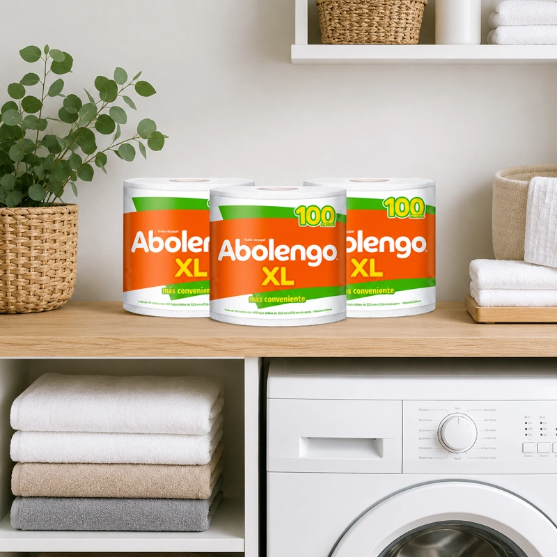 3 PAQUETES TOALLA DE PAPEL ABOLENGO XL 1 UN 100 MT - 3