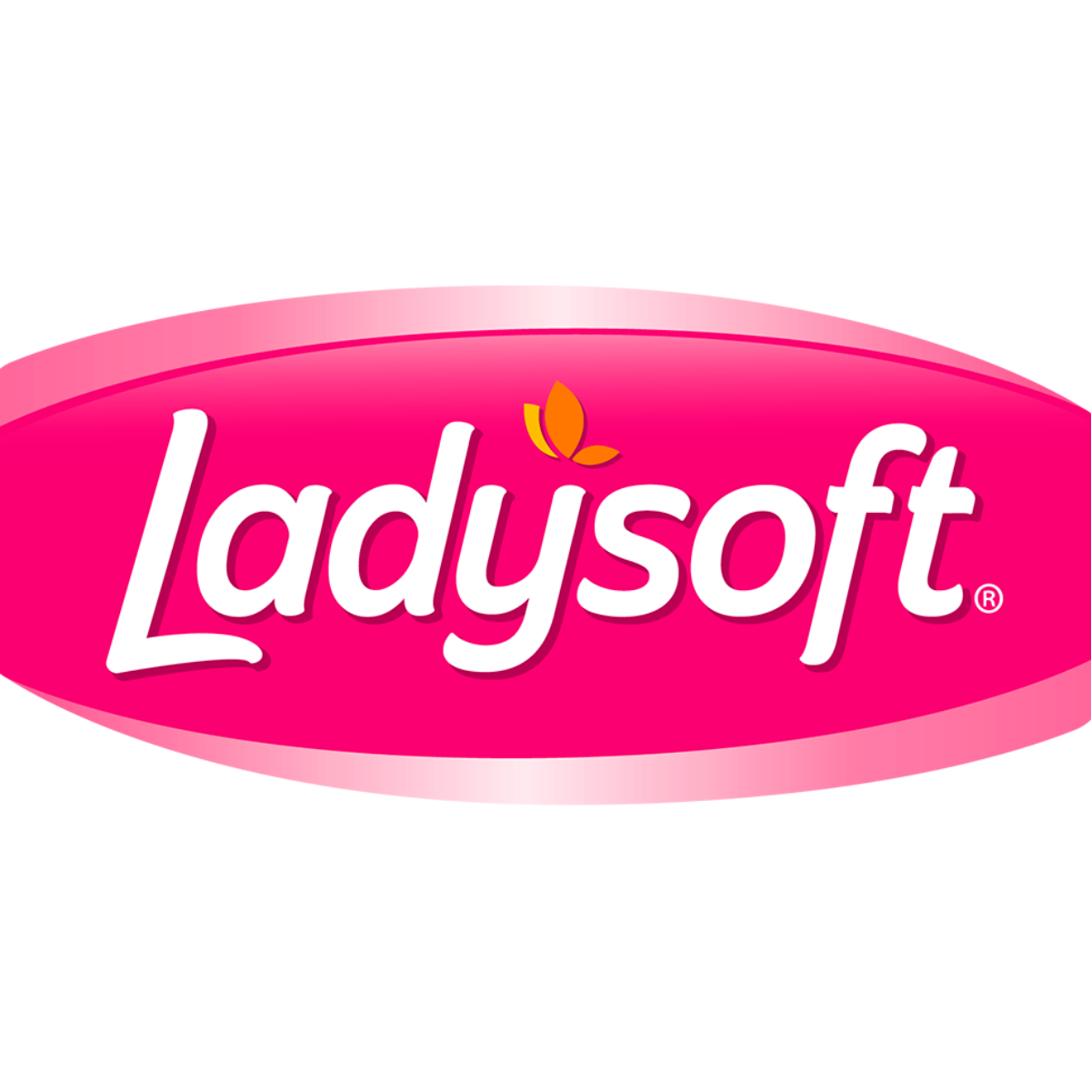 PROTECTOR DIARIO LADYSOFT 150 UN - 2