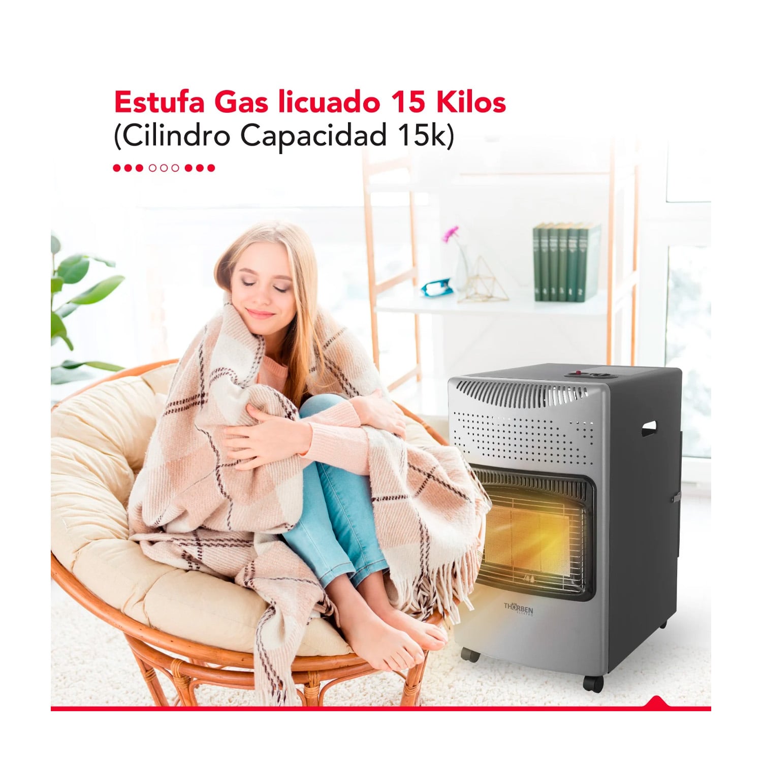 ESTUFA GAS THORBEN GL 15K PLATEADA - 4