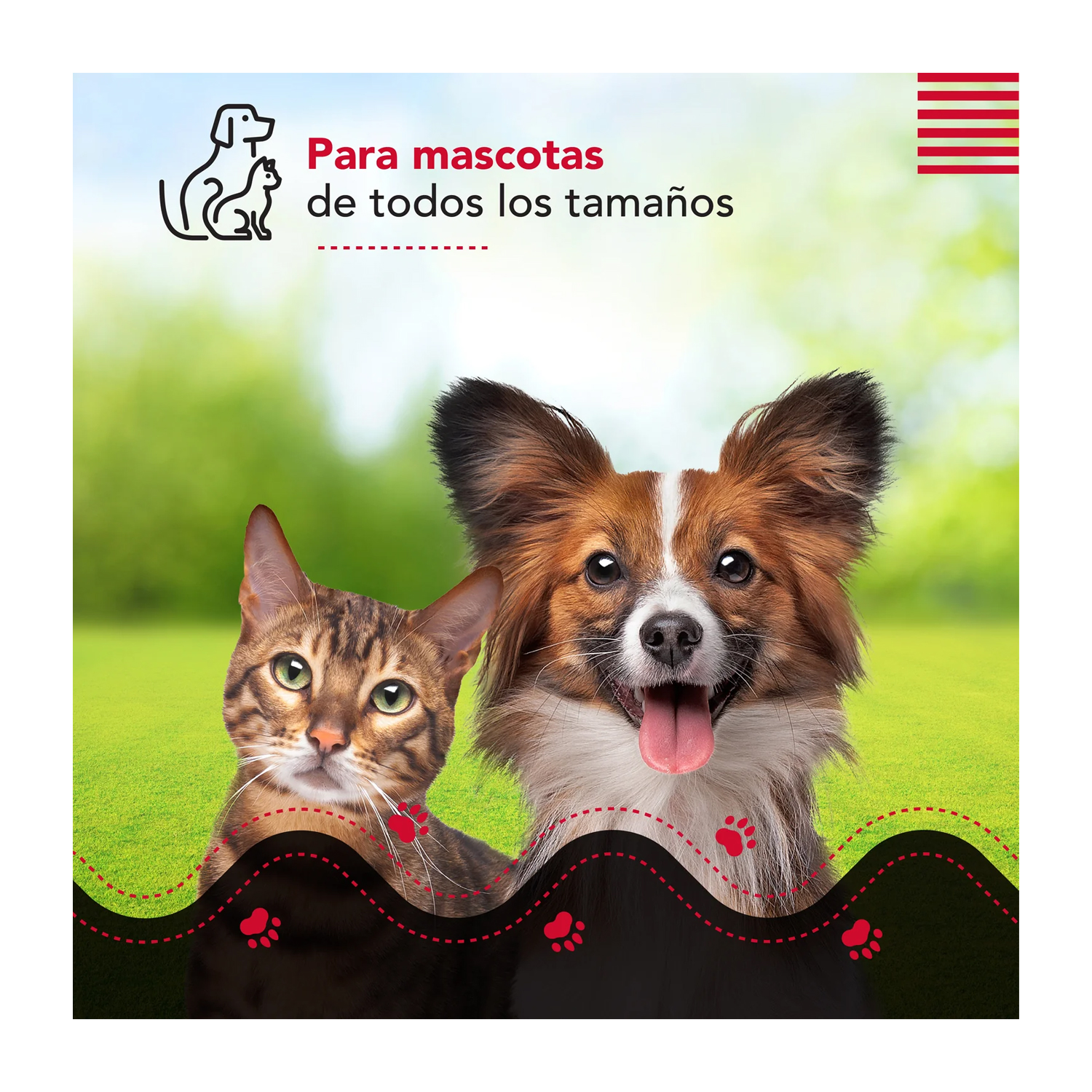 CEPILLO Y ASPIRADORA THORBEN CORDLESS USB PET VAC - 4