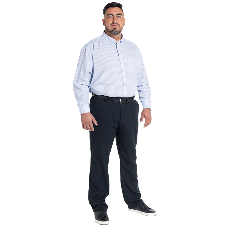 CAMISA LISTADA PREMIUM REGULAR FIT | CELESTE - 4
