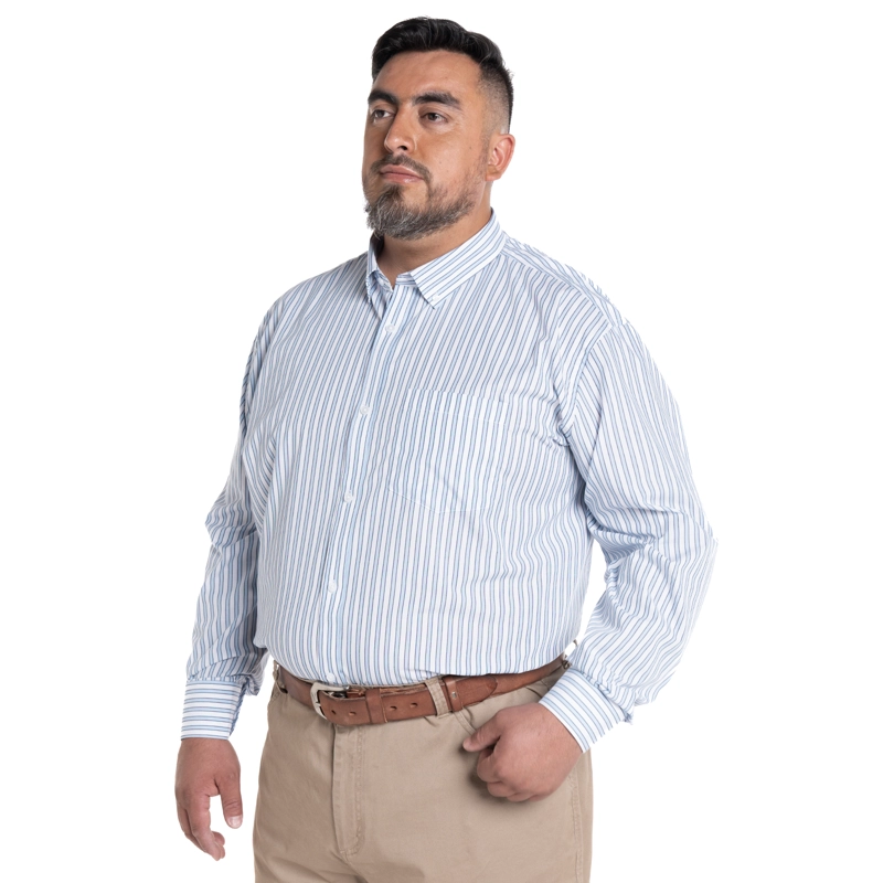 CAMISA LISTADA PREMIUM REGULAR FIT | CELESTE - 5