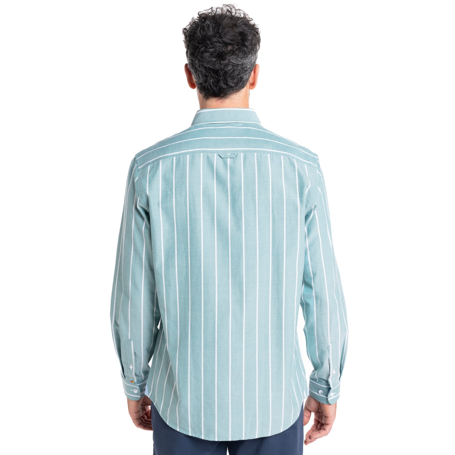 CAMISA OXFORD LISTADA | VERDE - 2