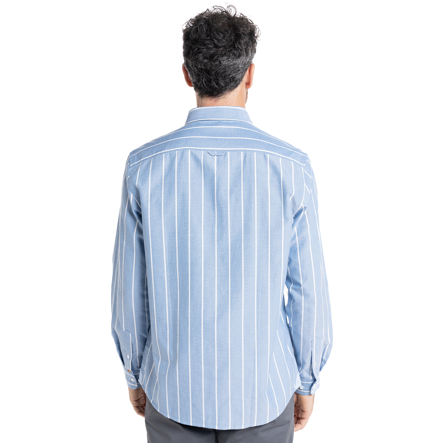 CAMISA OXFORD LISTADA | VERDE - 2