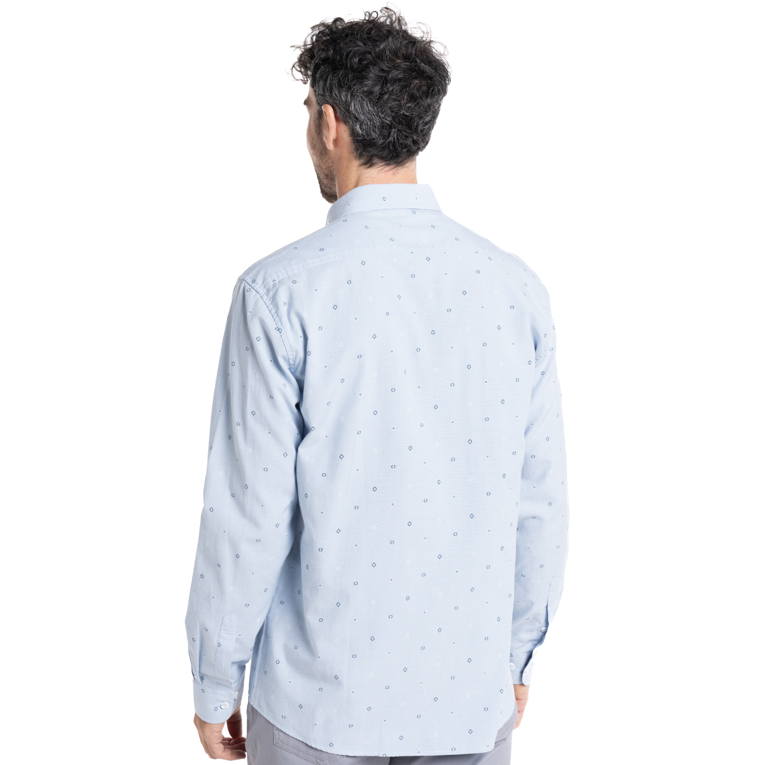 CAMISA OXFORD ESTAMPADA | CELESTE - 2