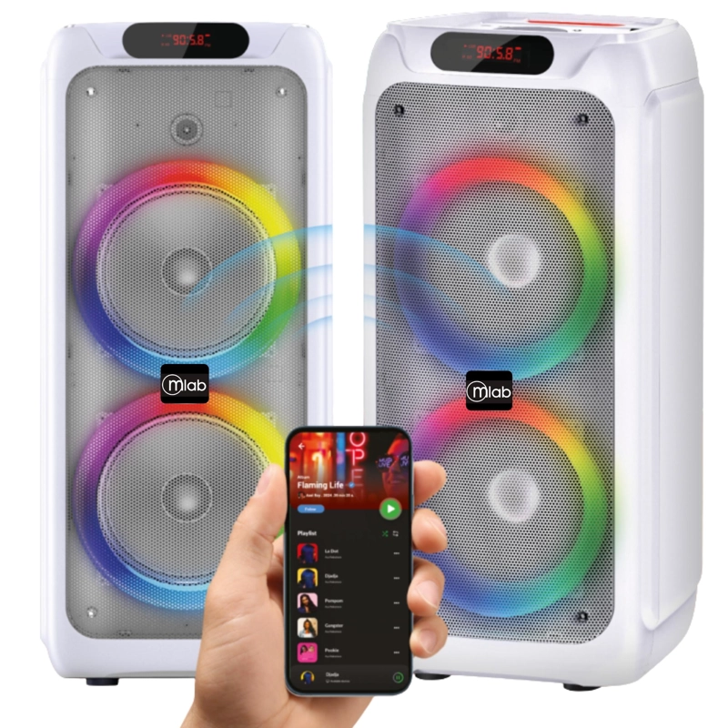 PARLANTE KARAOKE FLAMING BIG BASS DUAL 8' MICWIRELESS 60WRMS - 7