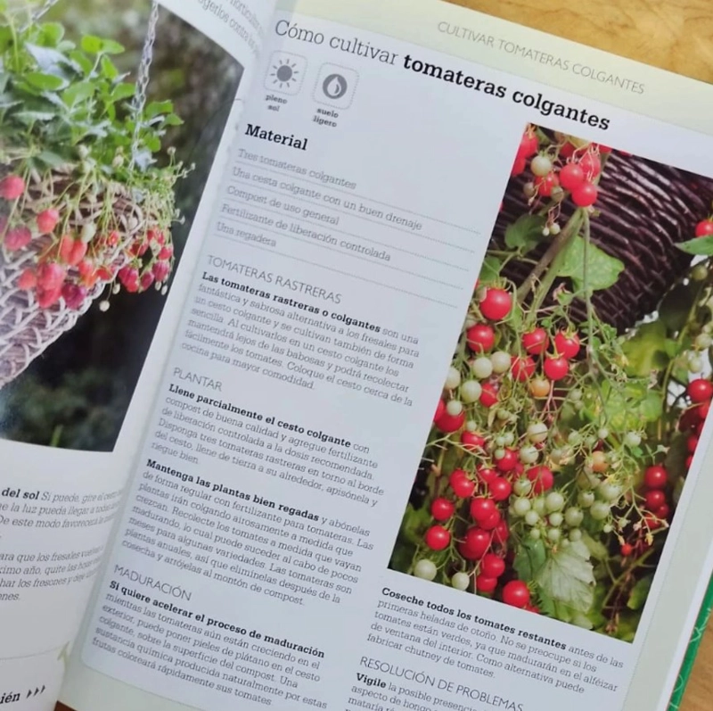 CURSO BASICO DE... - CULTIVO DE FRUTA Y HORTALIZAS - 2