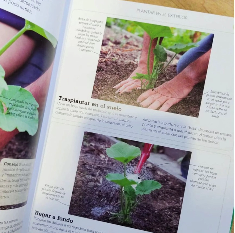 CURSO BASICO DE... - CULTIVO DE FRUTA Y HORTALIZAS - 3
