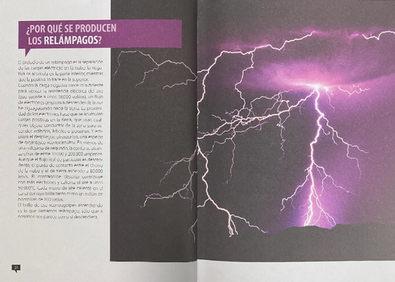 LIBRO DE LOS PORQUÉS EDICIÓN TAPA DURA - IRENE LARA - 2