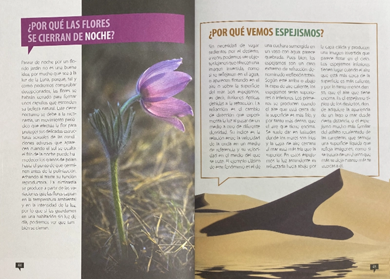 LIBRO DE LOS PORQUÉS EDICIÓN TAPA DURA - IRENE LARA - 3