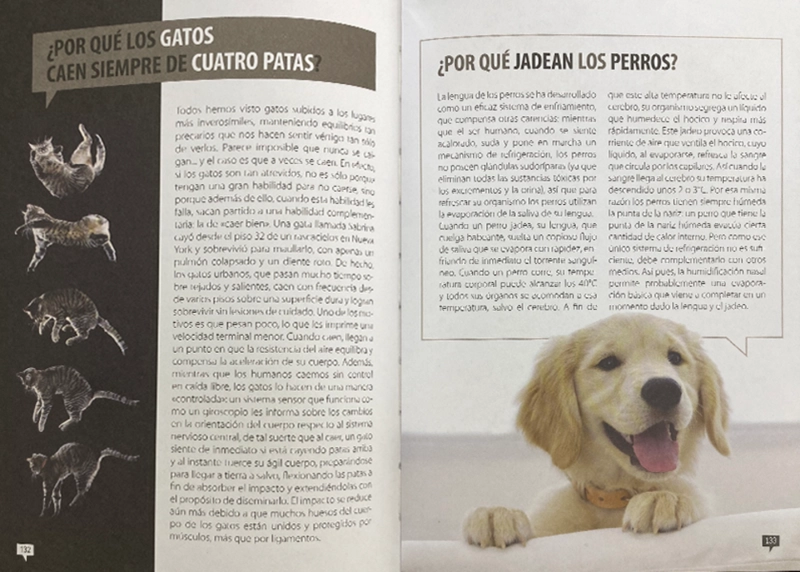 LIBRO DE LOS PORQUÉS EDICIÓN TAPA DURA - IRENE LARA - 4