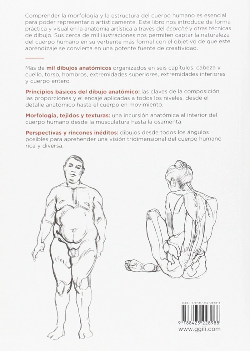 LIBRO ANATOMIA - ANATOMIA ARTISTICA - MICHEL LAURICELLA - 2