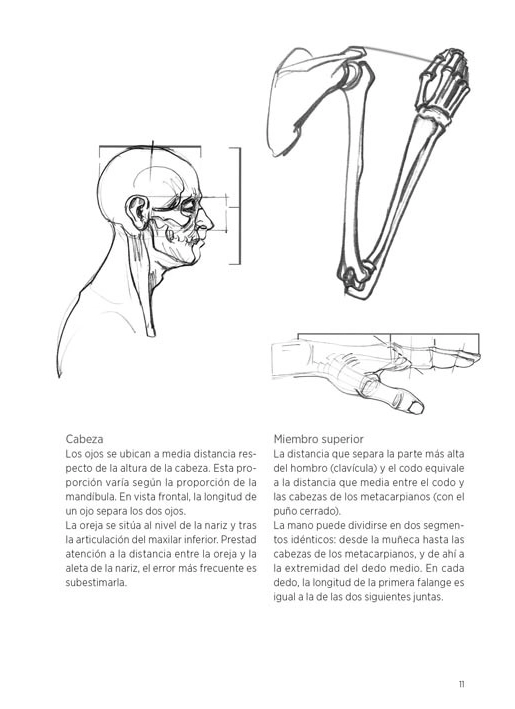 LIBRO ANATOMIA - ANATOMIA ARTISTICA - MICHEL LAURICELLA - 4
