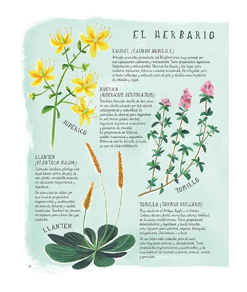 LIBRO DIY - BELLEZA ORGANICA - MARU GODAS - 4