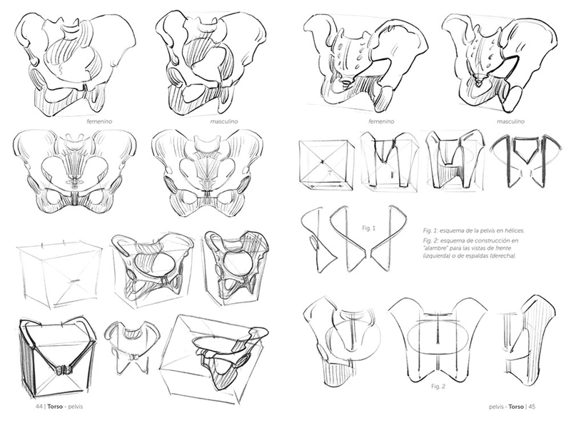LIBRO ANATOMIA - ANATOMIA ARTISTICA 3. EL ESQUELETO - LAURICELLA, MICHEL - 2