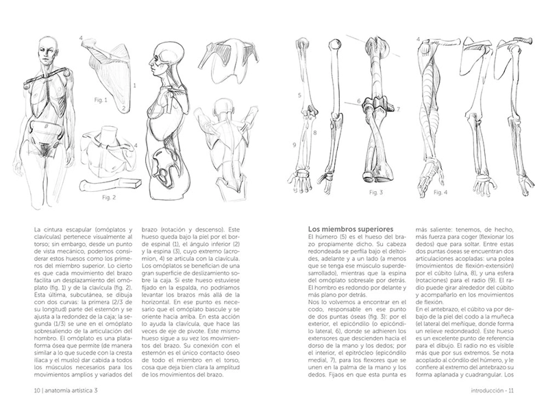 LIBRO ANATOMIA - ANATOMIA ARTISTICA 3. EL ESQUELETO - LAURICELLA, MICHEL - 3