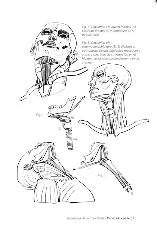 LIBRO ANATOMÍA ARTÍSTICA 5 MICHEL LAURICELLA - 2