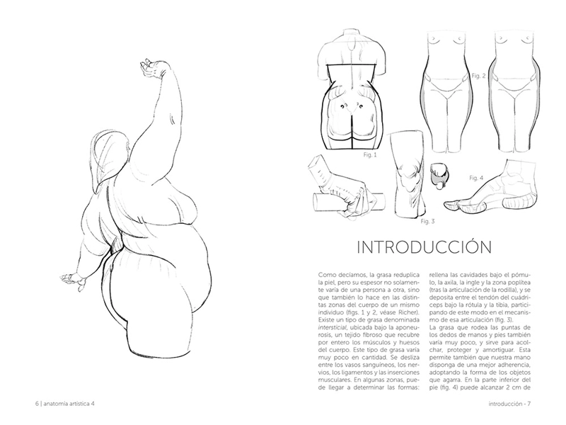 LIBRO ANATOMIA - ANATOMIA ARTISTICA 4 - MICHEL LAURICELLA - 3