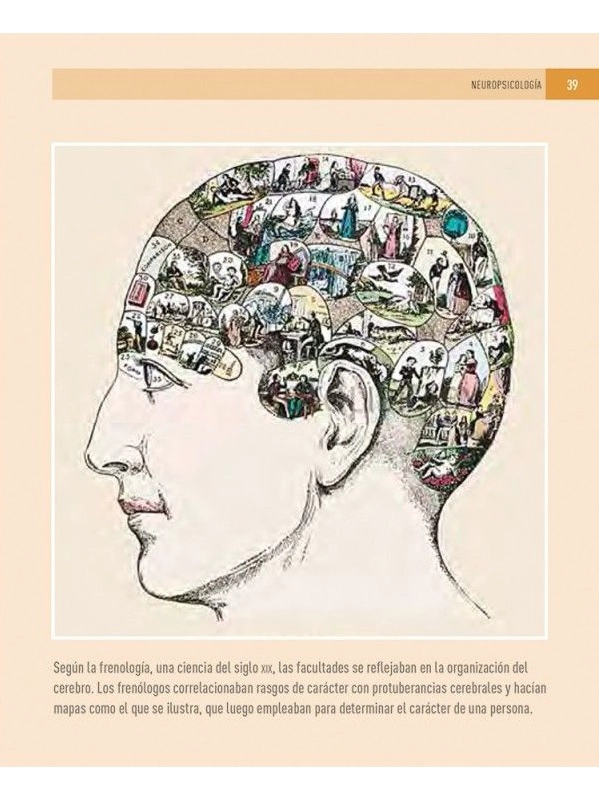 100 CONCEPTOS - PSICOLOGIA - 2