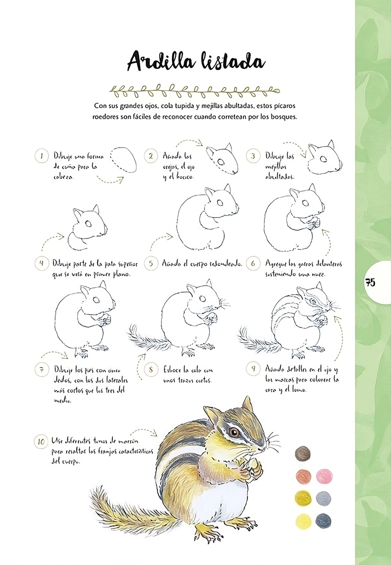 DIBUJAR EN 10 PASOS - ANIMALES Y PLANTAS - 2