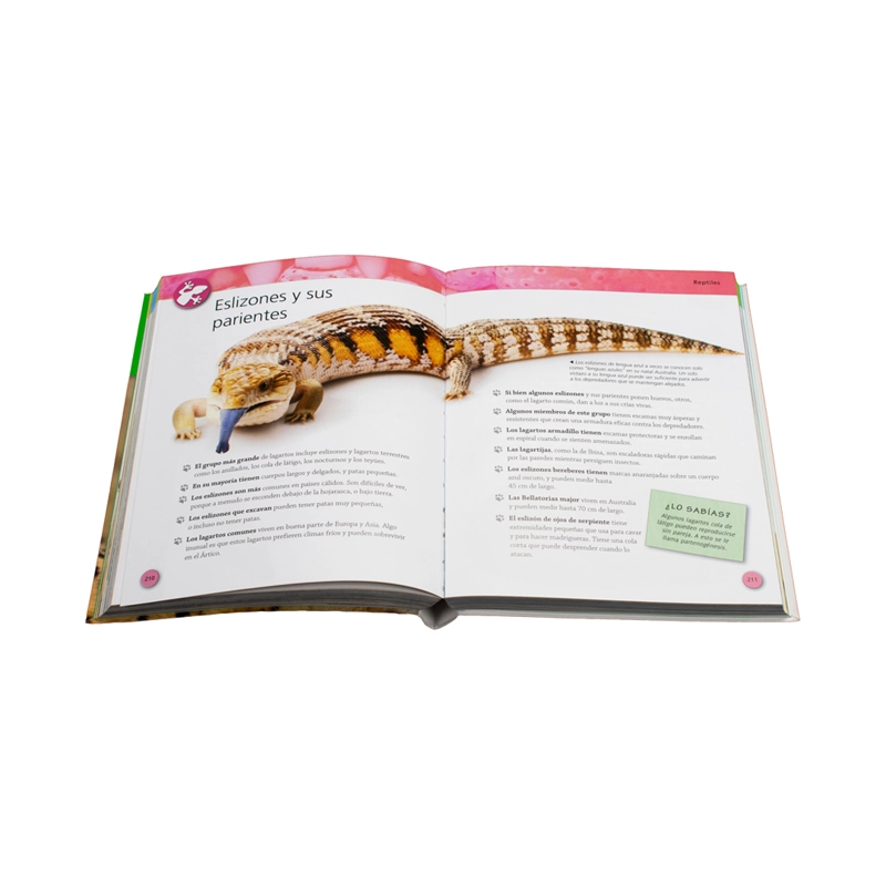 LIBRO 384 PAG - ENCICLOPEDIA DE LOS ANIMALES - CAMILLA DE LA BEDOYERE - 2