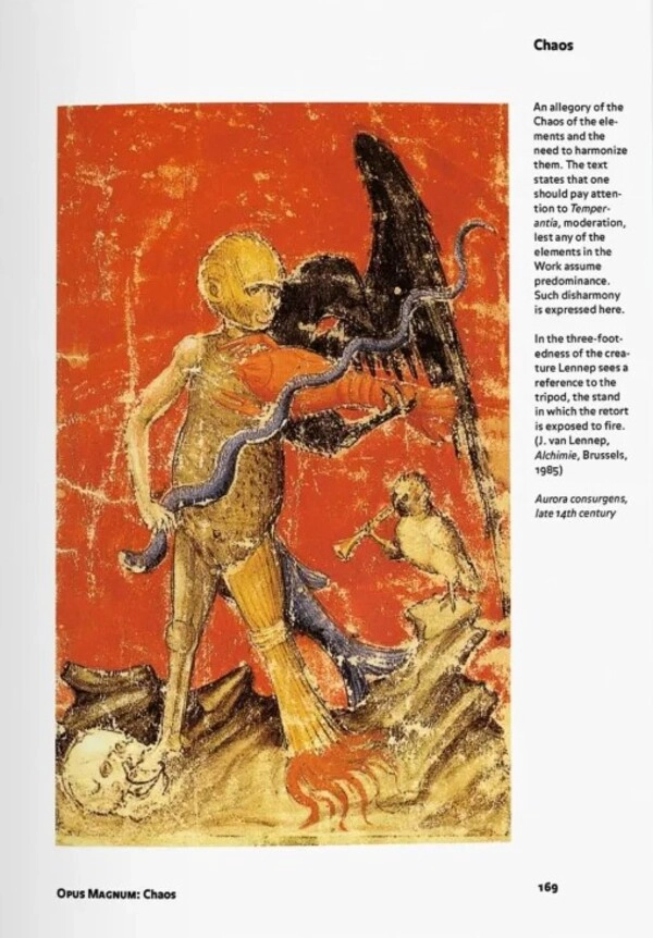 LIBRO BIBLIOTECA UNIVERSAL - ALQUIMIA & MISTICA - ALEXANDER ROOB - 4