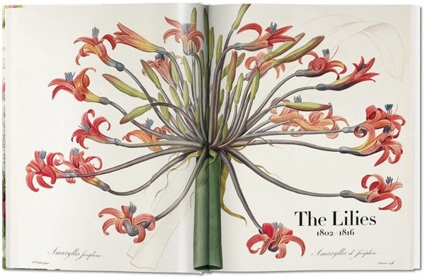 FP - THE BOOK OF FLOWERS - 5