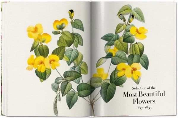 FP - THE BOOK OF FLOWERS - 6