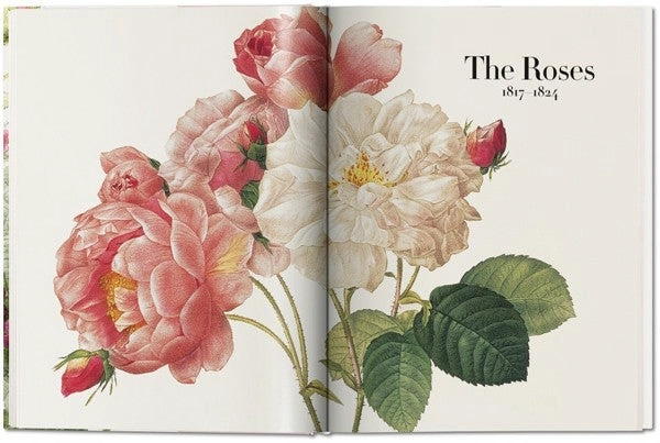 FP - THE BOOK OF FLOWERS - 8