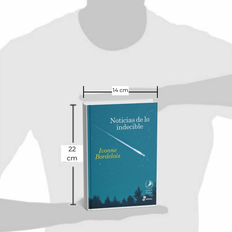 LIBRO NOTICIAS DE LO INDECIBLE IVONNE BORDELOIS - 2