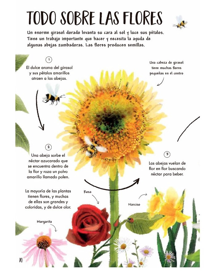 LIBRO MI PRIMER LIBRO DE LA NATURALEZA - CAMILLA DE LA BEDOYERE - 4