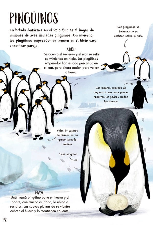 LIBRO MI PRIMER LIBRO DE LA NATURALEZA - CAMILLA DE LA BEDOYERE - 9