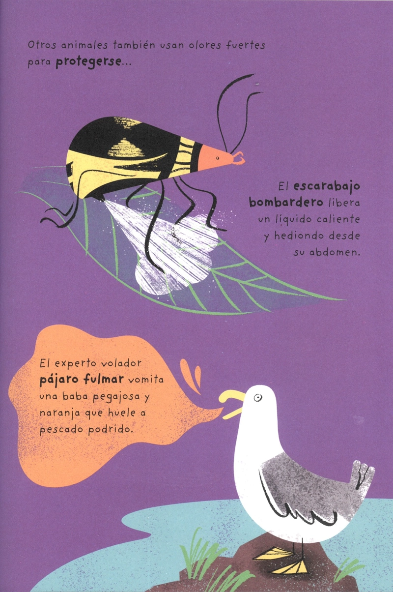 LIBRO EL PEQUEÑO - PUEDES HACERLE COSQUILLAS A UN TIGRE? - SUE NICHOLSON - 4