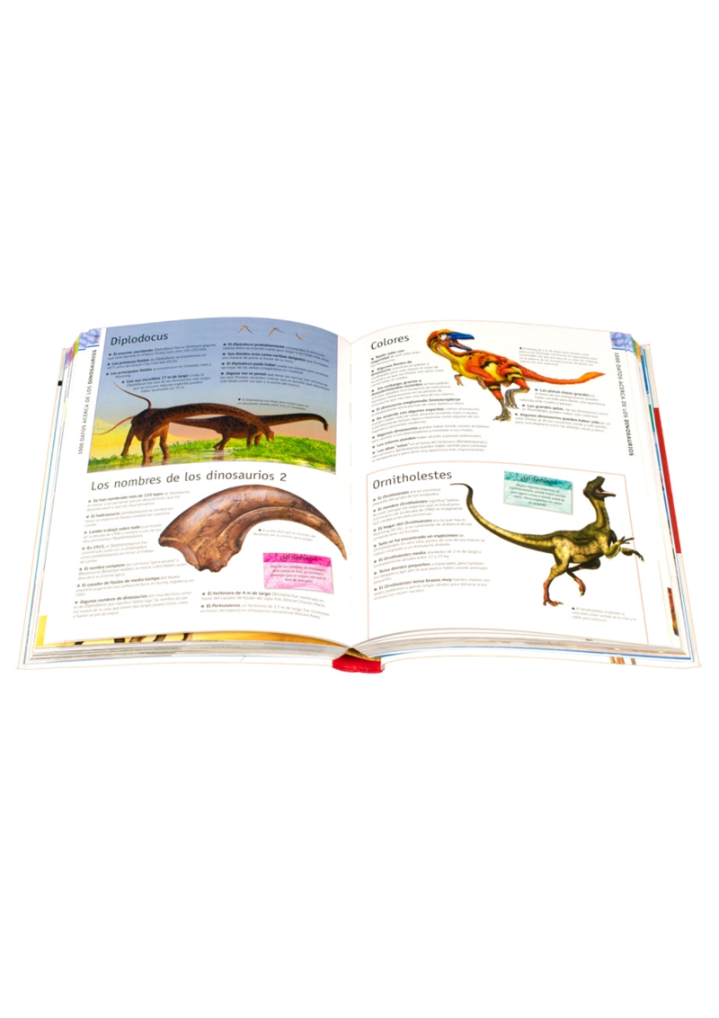 LIBRO 600 DATOS SORPRENDENTES - BELINDA GALLAGHER - 3