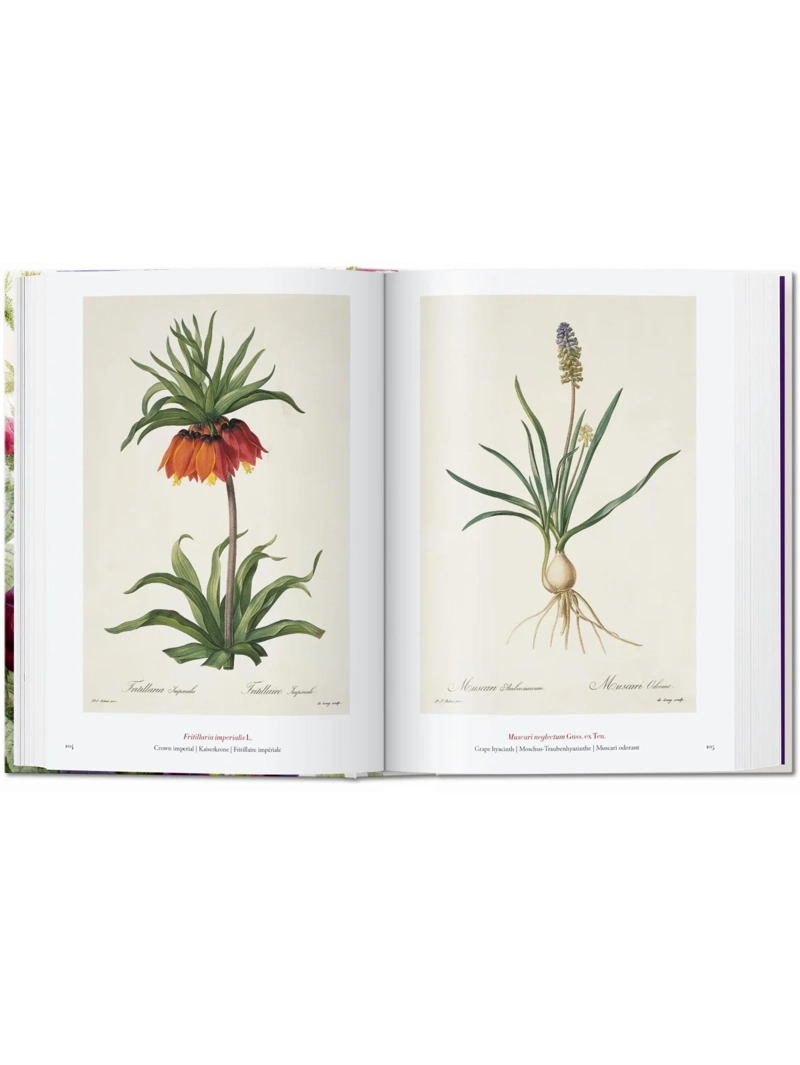 LIBRO 40 - REDOUTE. EL LIBRO DE LAS FLORES - H. WALTER LACK - 2