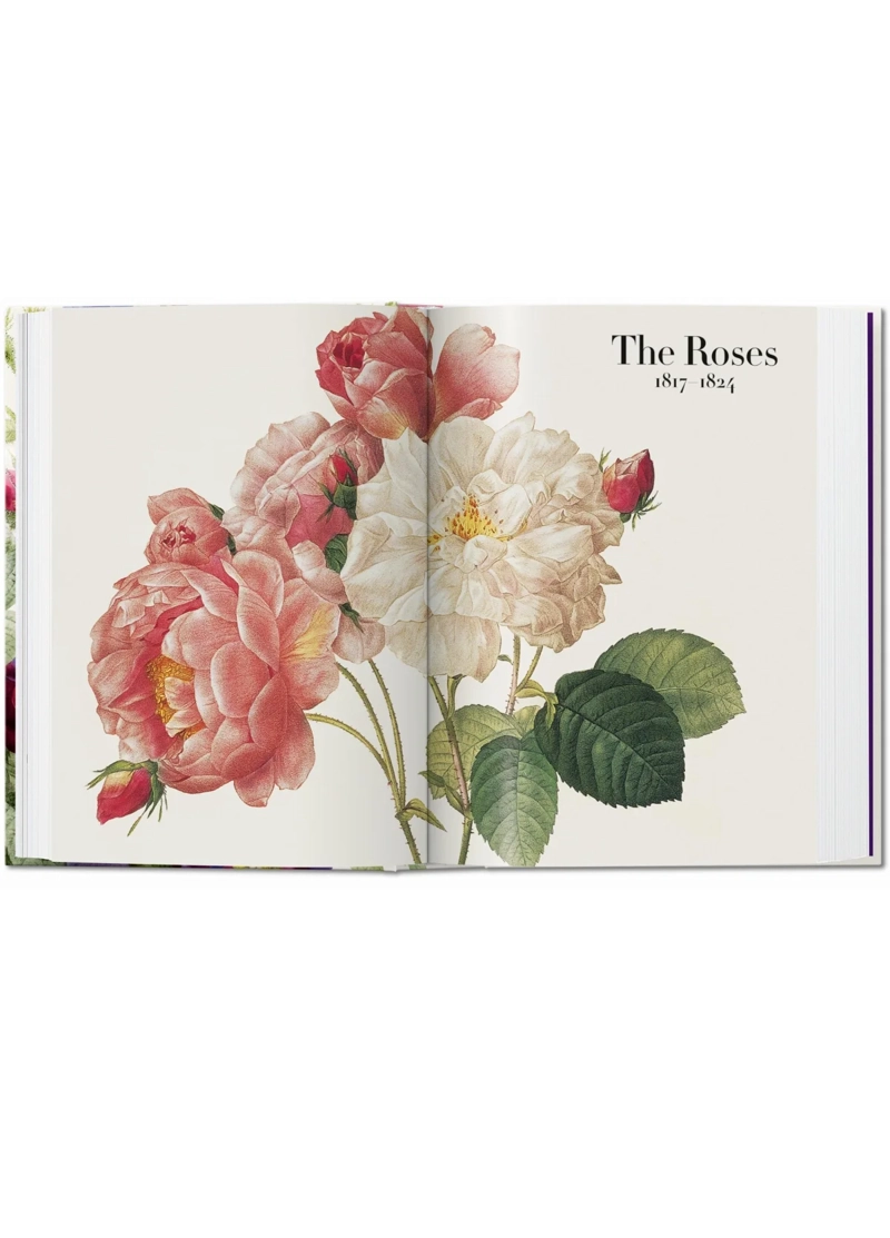 LIBRO 40 - REDOUTE. EL LIBRO DE LAS FLORES - H. WALTER LACK - 3
