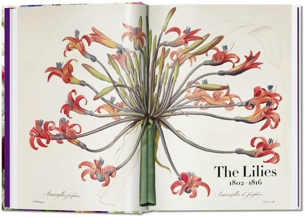 LIBRO 40 - REDOUTE. EL LIBRO DE LAS FLORES - H. WALTER LACK - 6