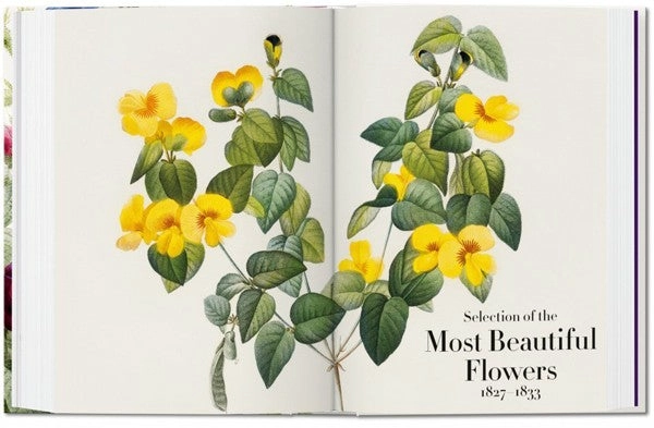 LIBRO 40 - REDOUTE. EL LIBRO DE LAS FLORES - H. WALTER LACK - 7