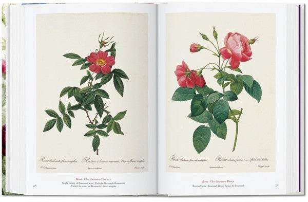LIBRO 40 - REDOUTE. EL LIBRO DE LAS FLORES - H. WALTER LACK - 8