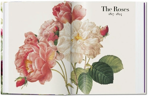 LIBRO 40 - REDOUTE. EL LIBRO DE LAS FLORES - H. WALTER LACK - 9