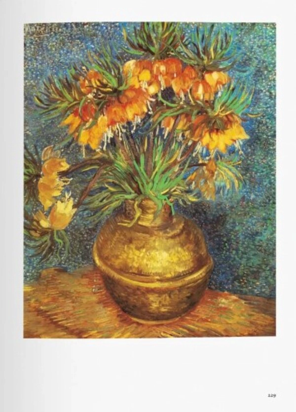 BIBLIOTECA UNIVERSAL - VAN GOGH - 4